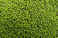 Moong